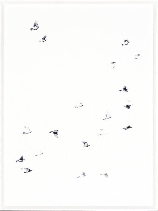 Flight Path I