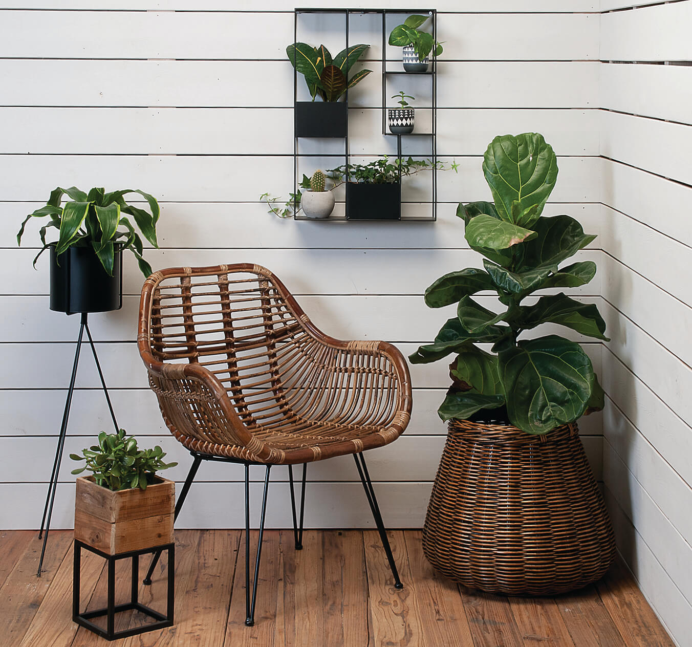 Dark Rattan & Iron Arm Chair