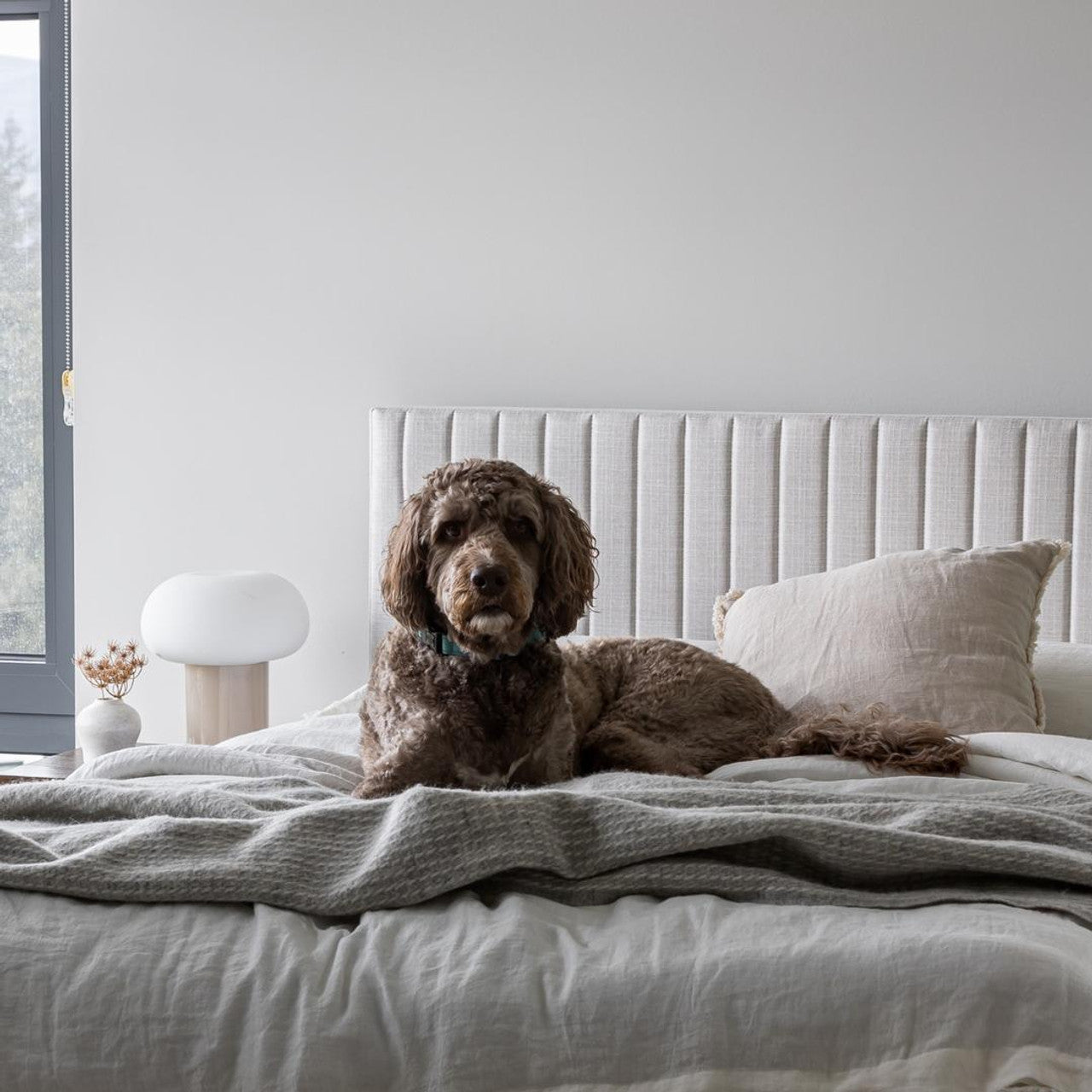 Hollis Queen Bed - Oat