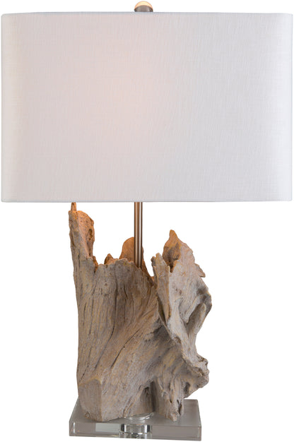 Darby Accent Table Lamp