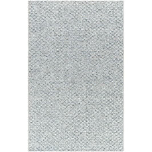 Birdie Indoor Outdoor Rug -  Blue