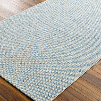 Birdie Indoor Outdoor Rug -  Blue