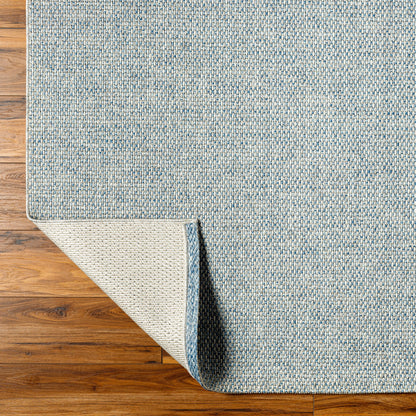 Birdie Indoor Outdoor Rug -  Blue