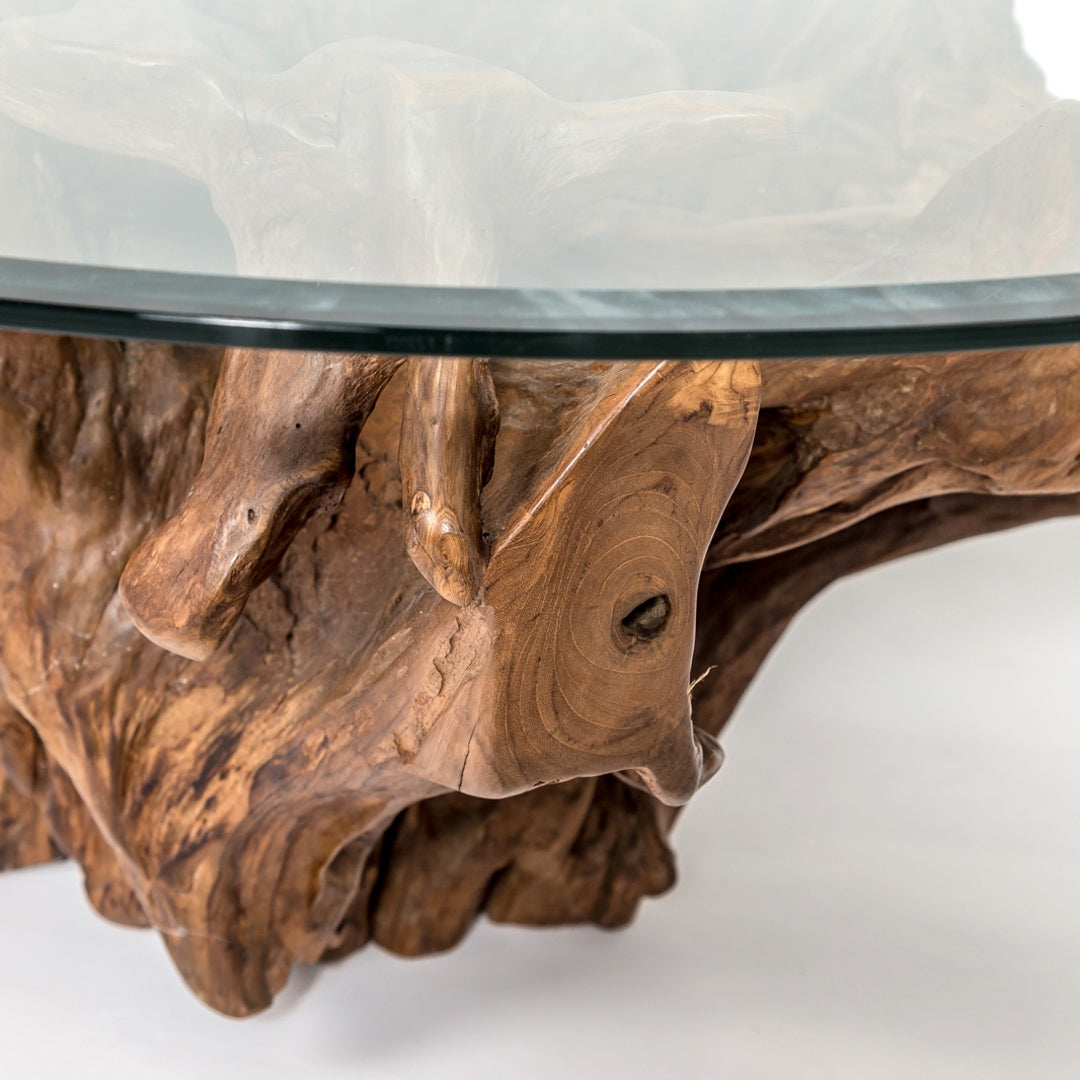 Natura Round Root Coffee Table – L